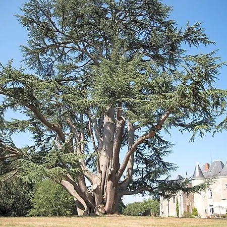 Chateau De Piolant Eiffel Tower B&B